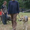 foire-haricots 2011-09-17et18